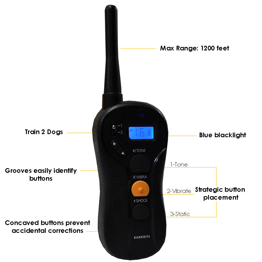 Water Resistant Remote Training Collar with Rechargeable Receiver