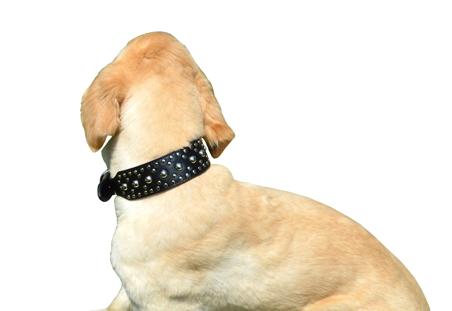 2" Wide Leather Spiked Dog Collar - Multi-Color and Size Options