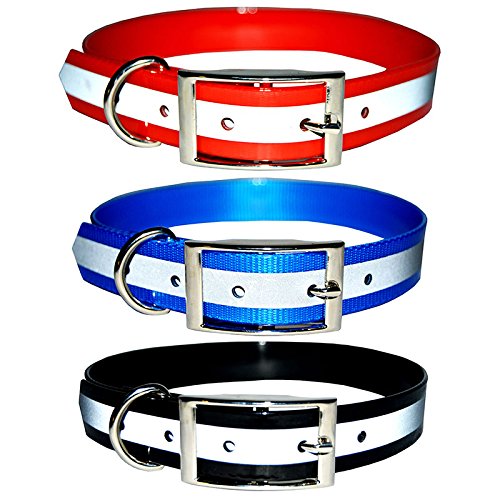 Reflective Safety Dog Collar - Multi-Color and Size Options