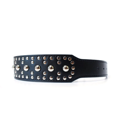 2" Wide Leather Spiked Dog Collar - Multi-Color and Size Options
