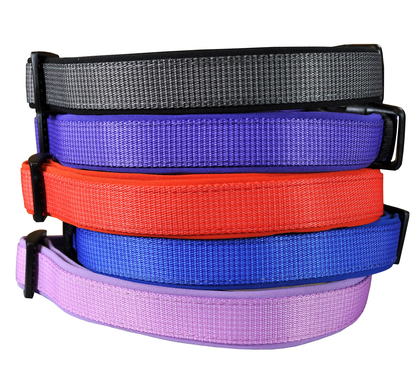 Adjustable Designer Dog Collar - Multi-Size and Color Options