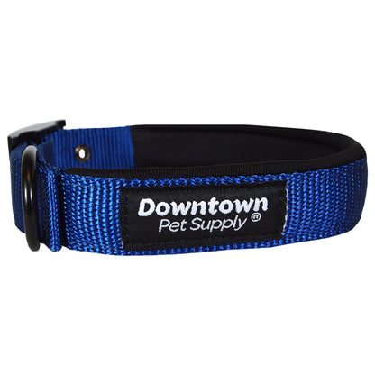 Adjustable Designer Dog Collar - Multi-Size and Color Options
