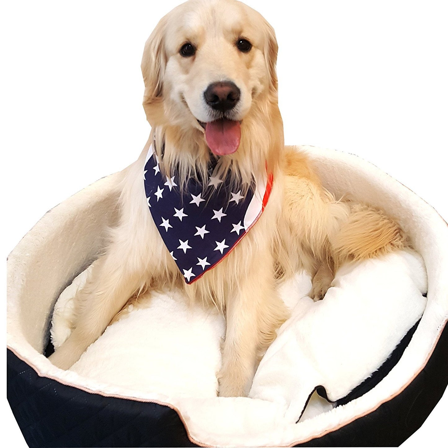 Downtown Pet Supply Premium Dog Pet Bandanas, Birthday, American Flag, Plad Scarfs for Dogs in Bulk Set - Great for Small and Large Pets
