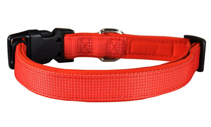 Designer Dog Collar, Soft Padded Adjustable, For Small, Medium and Large Dogs