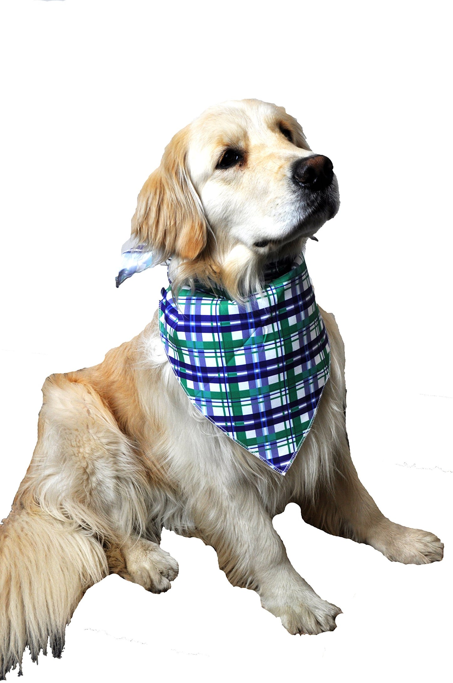 Downtown Pet Supply Premium Dog Pet Bandanas, Birthday, American Flag, Plad Scarfs for Dogs in Bulk Set - Great for Small and Large Pets