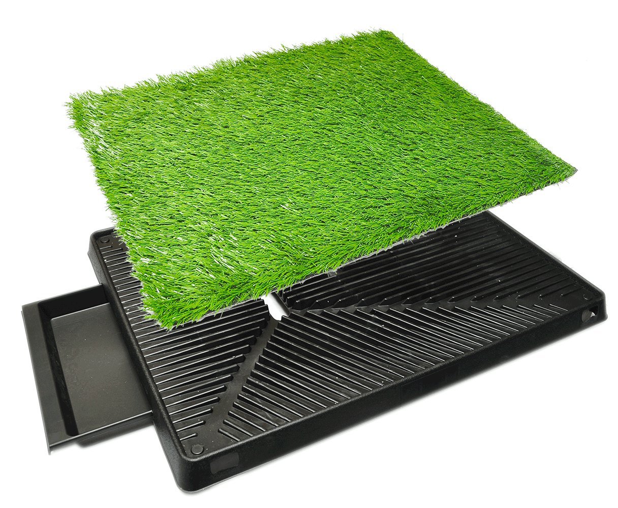 Dog pee outlet tray grass