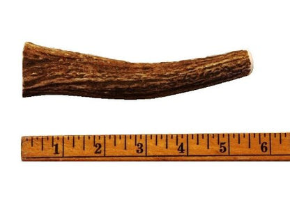 Whole Antler Dog Chew - Premium Dog Chew Treats - By Size