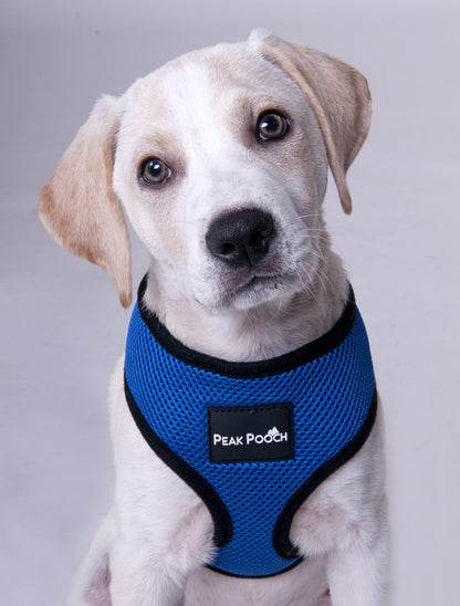 Peak Pooch Comfort Harness, Puppies, Small and Medium Dogs
